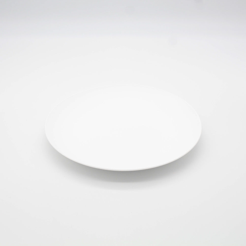 Dish or Plate Set of 6 - 10" COZA BPA Free Plastic